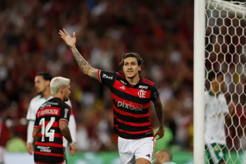 Jogador Pedro, Flamengo